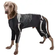 Halloween Dog Funny Skeleton Costume