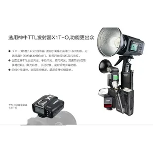 Godox 神牛 TT350O TTL機頂閃光燈 Olympus Panasonic 送柔光罩 相機專家 公司貨