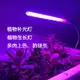 植物燈 植物補光燈生長燈多肉補光上色全光譜led燈長條燈管USB家用植物燈