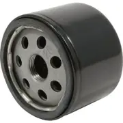 Troy-Bilt Oil Filter for Lawn Tractors and Zero-Turn Mowers with Engines