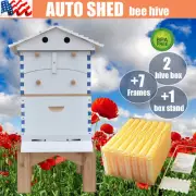 Wooden Painted White Auto Honey Beehive + 7 x Bee hive Frames Beekeeping + Stand