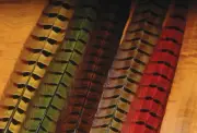 Hareline Dubbin Ringneck Pheasant Tail Feathers