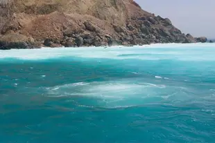 宜蘭賞鯨自由行|登島・賞鯨・環繞龜山島+台北至烏石港來回車票