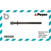 Payen Cylinder Head Bolt Set - HBS406