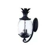 Acclaim Lighting 7501 2 Light 18"H Pineapple Outdoor Wall Sconce - Black