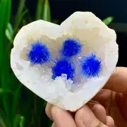 108G Indian dandelion zeolite Quartz Crystal Cluster Mineral Specimen