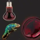 Reptile Tortoise Amphibian Nightlight Infrared Light E27 Base Heat Lamp