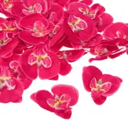 80Pcs 2.8" Artificial Silk Butterfly Orchid Flower Heads for DIY, Fuchsia