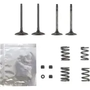 WISECO 0926-3071 SVKB3405 Valve Kit