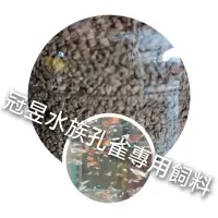 在飛比找蝦皮購物優惠-【冠昱水族】綜合雙劍孔雀魚 約1.5cm【隨機】水上 貼片專