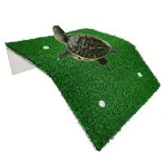 Turtle Resting Basking Platform Simulation Grass Turtle Rampawn Tortoise L