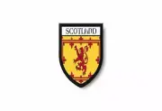 PATCH PATCHES EMBLEM IRON ON GLUE PRINT FLAG world crest scotland lion