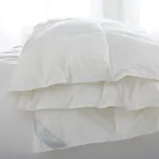 Scandia Home Bergen Down Free Comforter, Queen