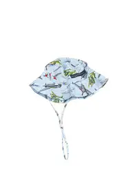 Wide Brim Hat Planes--QUI-E1012-5