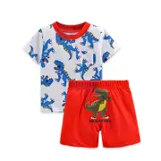 Dino Adventure: Soft Dinosaur Print Baby Boy 2-Piece Set