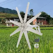 48V,12000W Outdoors Wind Turbine Generator 12V 24V 48V Wind Turbine Kit, 8 Blade Wind Power Generator, W/Controller Suitable for Home, Farm, Boats(White)