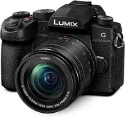 Panasonic LUMIX G97 Photo and Video Hybrid Mirrorless Camera Plus +12-60mm F3.5-5.6 H-FS12060 Lens (DC-G97MGN)