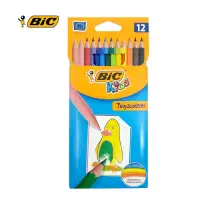 在飛比找Yahoo奇摩購物中心優惠-BIC 12色色鉛筆