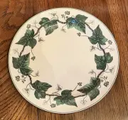 NEW Wedgewood Napolean Ivy Green Dinner Plate 10 1/4"