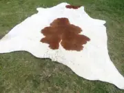 NEW LARGE BROWN & WHITE SPOTED Cowhide Rug natural Cowhides Cow Hide Skin 6X6 WS