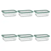 6PK Ecology Store Rectangle Clear Glass Food Storage Container 1050ml Eucalyptus