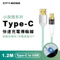 在飛比找momo購物網優惠-【CityBoss】Type-C to USB 120CM 