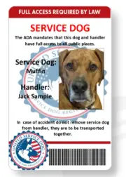 Service/emotional support dog handler ID card printed full color double sided