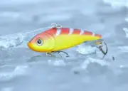 Ice Fishing Lure, Vibration Jig HD ICE (Fire Craw)