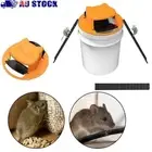 Slide Bucket Lid Creative Mousetrap Mouse Bucket Traps Rat Trap Mouse Trap