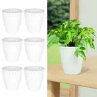 Plant Growth Container Self-priming Lazy Flowerpot for Home Desktop Decoration