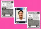 Panini : UEFA Champions League 2010-2011 · Album Stickers 379-564