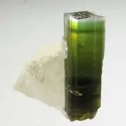 16 mm WHITE-CAPPED TOURMALINE CRYSTAL ON ALBITE, PAKISTAN