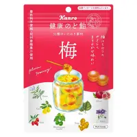 在飛比找蝦皮購物優惠-[限量預購].日本Kanro蜂蜜梅子潤喉糖90g