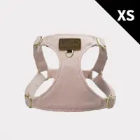 在飛比找PChome24h購物優惠-puppytie 粉色 粉藍CP-XS 寵物胸背帶+牽繩組