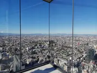 在飛比找雄獅旅遊優惠-東京旅遊｜台灣虎航｜迪士尼.涉谷展望台.合掌村.富士山纜車.