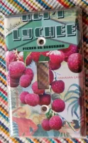 Rare Hawaiian Tropical Plantation House LYCHEE Light Single Switch Cover plate