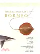 Sharks and Rays of Borneo