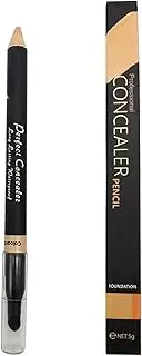 RAYWE TFT Concealer Pencil for Face Double-Sided Under Eye Concealer Longlasting&Waterproof Cosmetics