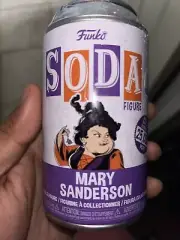 Funko Mary Sanderson - Hocus Pocus chance at Chase sealed, not open