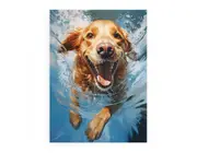 Dog Swimming Modern Canvas Print