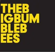 ELIOT BATES/BABY DEE - THE BIG BUMBLE BEES NEW CD