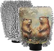 XYMZR Capybara Cute Garden Absorbent Microfiber Car Wash Mitt, Funny Cute Anime Scratch Free for Cars Cleaning, Home Cleaning Mitts, 2 Pack, 10.24” L x 7.09” W