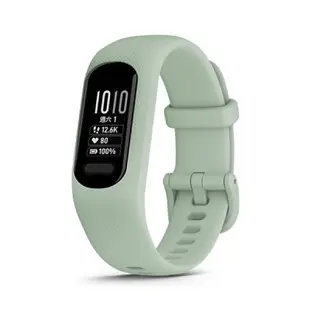 Garmin vívosmart 5 健康心率手環- 智慧手環(薄荷綠) | 智慧手錶
