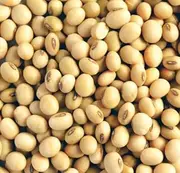 Soya Beans Soy Beans For Soy Milk Tofu - (20kg)