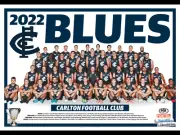 LAMINATED CARLTON BLUES TEAM POSTER,BARGAIN,AFL FOOTBALL,GREAT FEEDBACKS