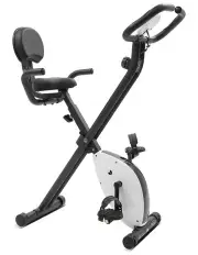[Lifespan Fitness] Exer-11 Exercise Bike in Assorted