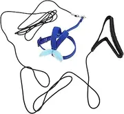 Abaodam Pet Bird Harness Set Bird Flying Leash for Outdoor Training Elastic Pet Parrot Harness with Cartoon Wings for Budgies Conures and Other Birds Durable