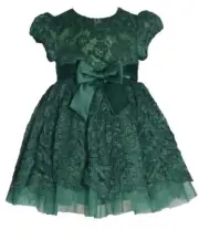 NEW Bonnie Jean Girls Size 3T "GREEN EMBROIDERED" Lace Mikado Bow Dress NWT