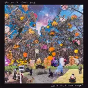 New Music The Smith Street Band "Don't Waste Your Anger" LP