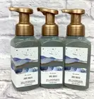 3 BATH & BODY WORKS JADE OASIS GENTLE + CLEAN FOAMING HAND SOAP NO DYES WASH NEW
